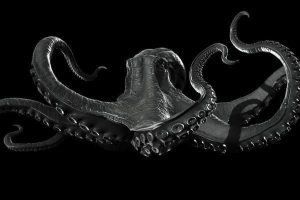 Kraken даркнет переходник
