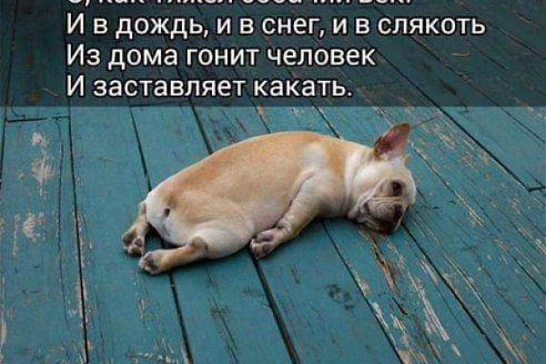 Можно ли вывести деньги с кракена